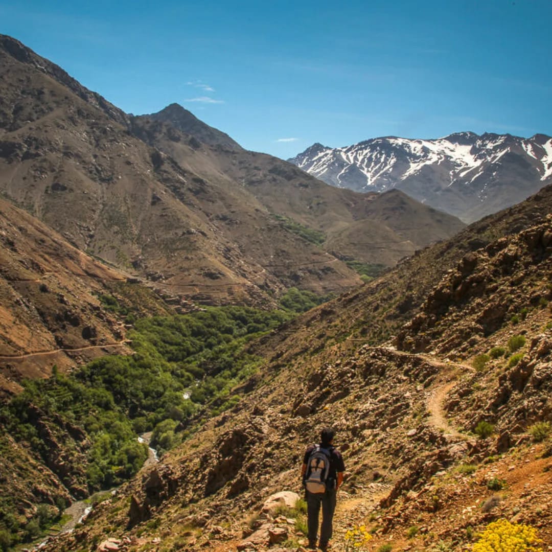 Randonnée & nature dans l'Atlas — Imlil, Ourika & vallées berbères